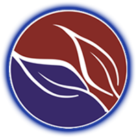 Stretton State College